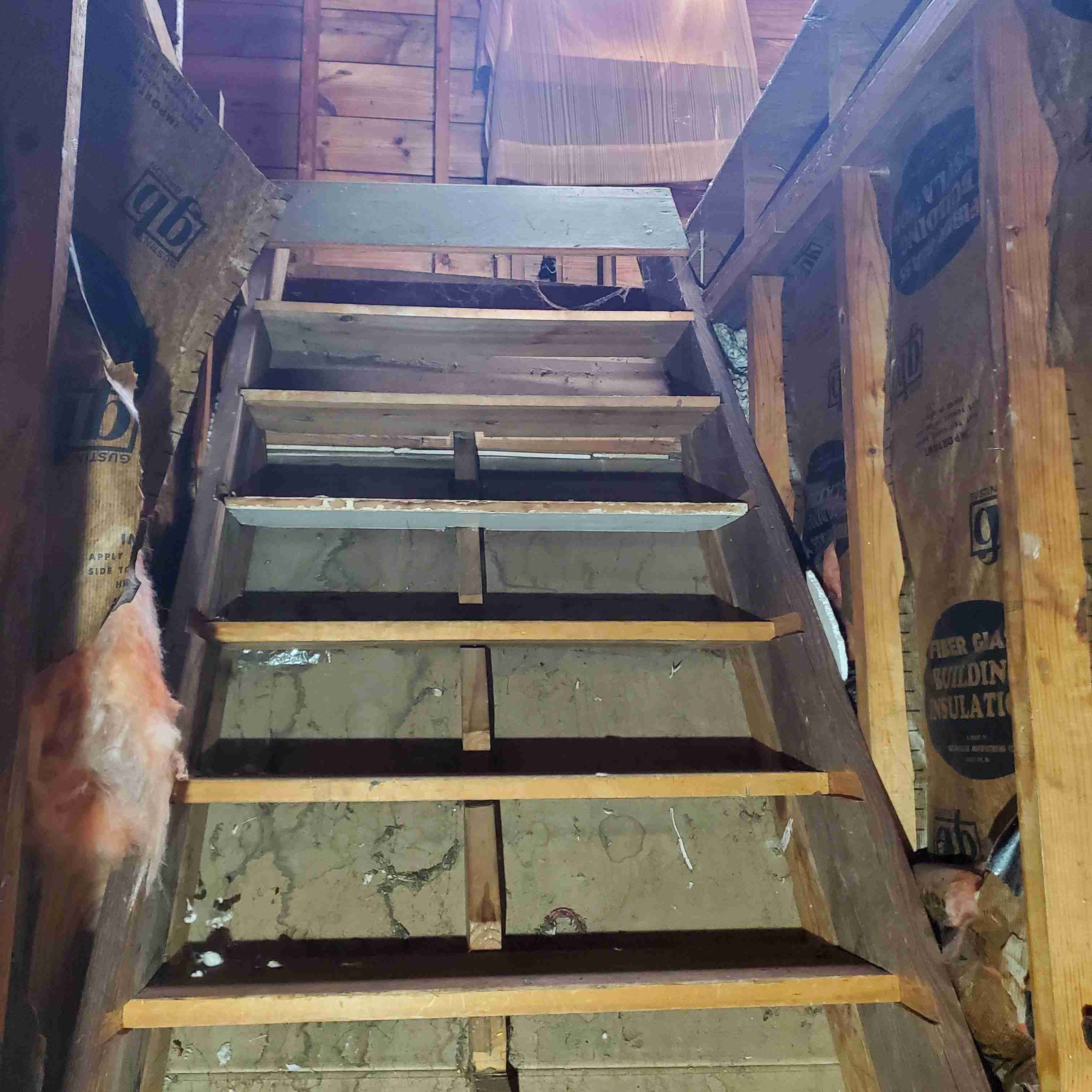 20200811_124715 (2).jpg